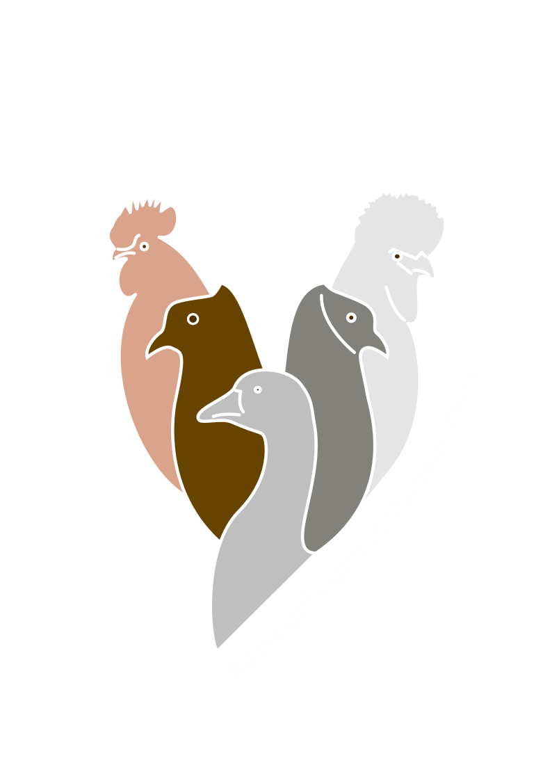Logo Ornis 2025